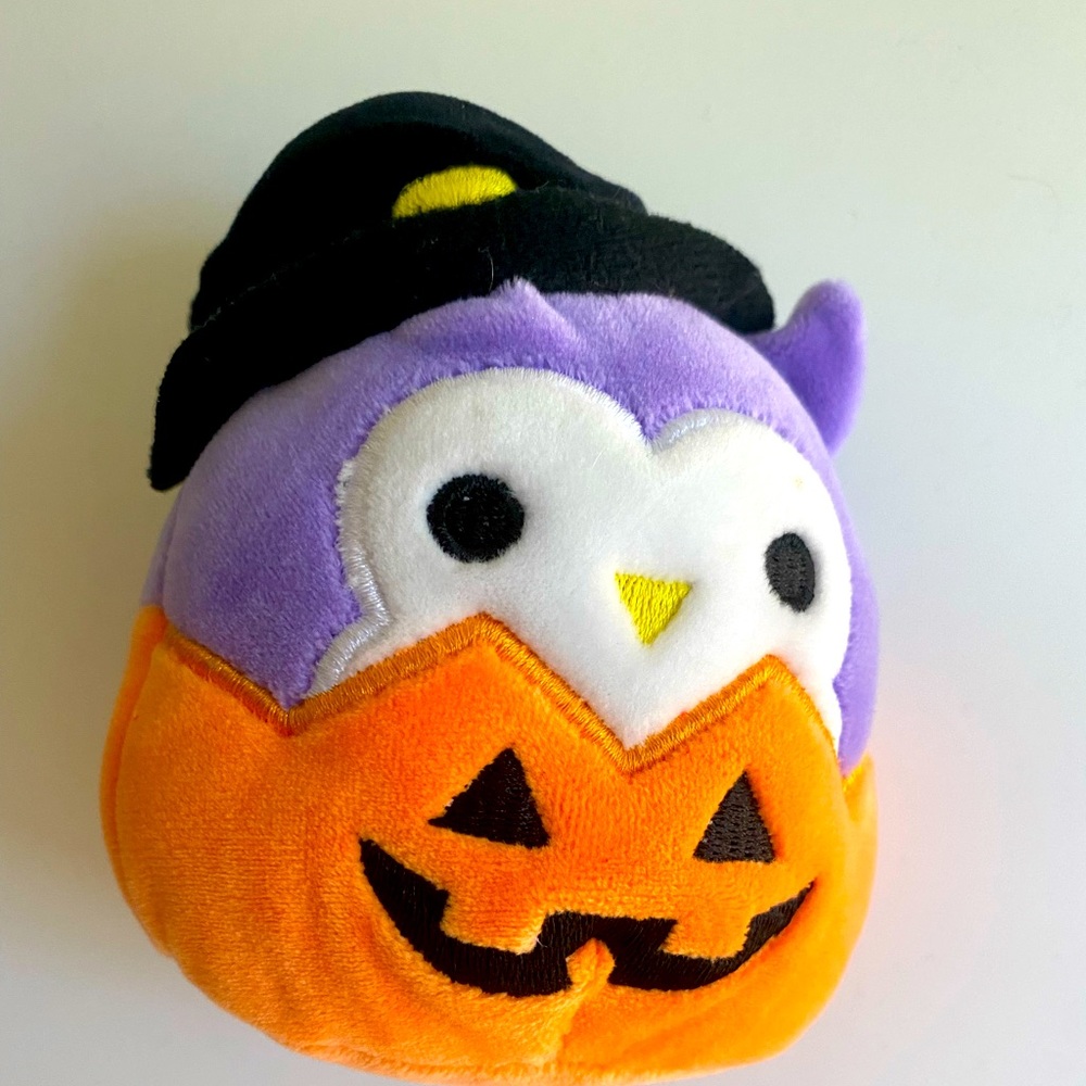 Owl in a pumpkin squishmallow!